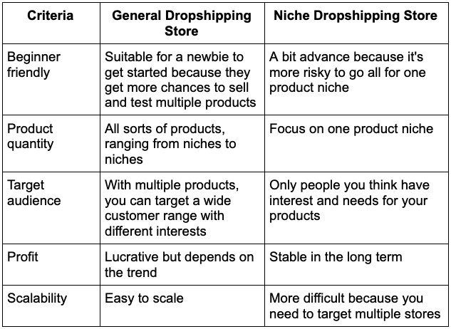 comparison of general dropshipping and niche dropshipping stores