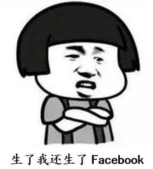 生了我还生了facebook